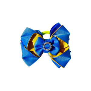 Electric Azure & Gold Bow